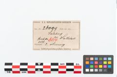 Etikett zu Bronzeknotenarmreif (NHMW-PRAE-026099)